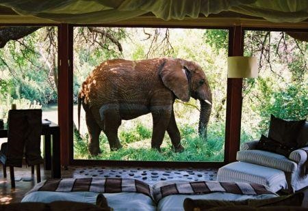 Afrique du Sud : les touristes ont rapporté plus de 300 millions de dollars au seul secteur hôtelier durant le mois de février