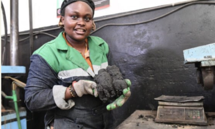 Cette jeune kenyane produit des briques « plus solides que le ciment » à partir de déchets plastiques