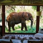 Afrique du Sud : les touristes ont rapporté plus de 300 millions de dollars au seul secteur hôtelier durant le mois de février